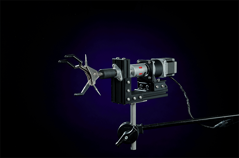 Dinamic Rig Performing Rigs